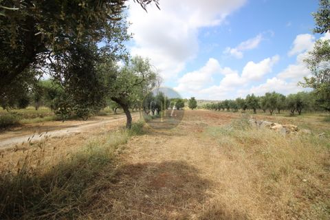 Landejendom i Calimera, Lecce, Calimera - € 135.000 | Ref:  CR001 - foto 13